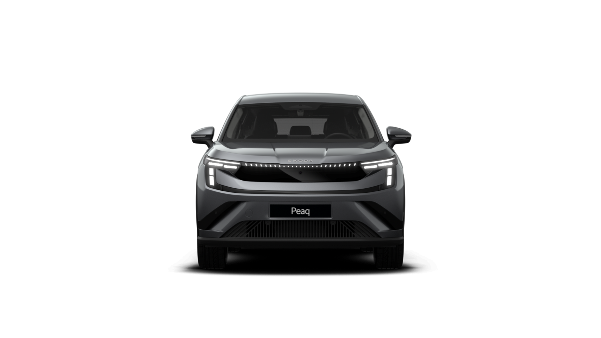 Skoda Peaq 90x