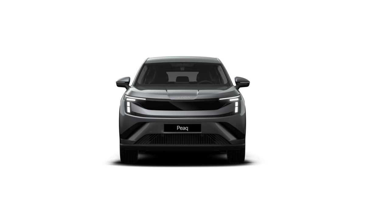 Skoda Peaq 90x